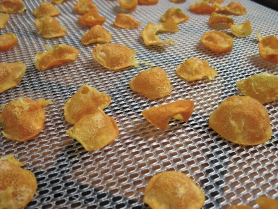 dehydrated kumquats after 6 hours at 135 degrees