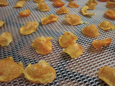 dried kumquats