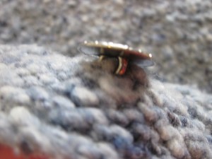 Detail of button knitted directly into the button band