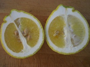Rough Lemon cut in half