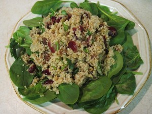 Cranberry and Apricot Couscous Spinach Salad