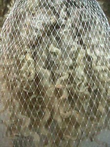 Cotswold wool locks in mesh bag for washing