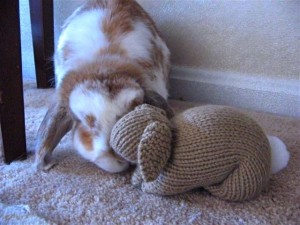 Dusty kissing Knitted Bunny