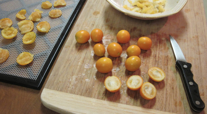 Dried Kumquats