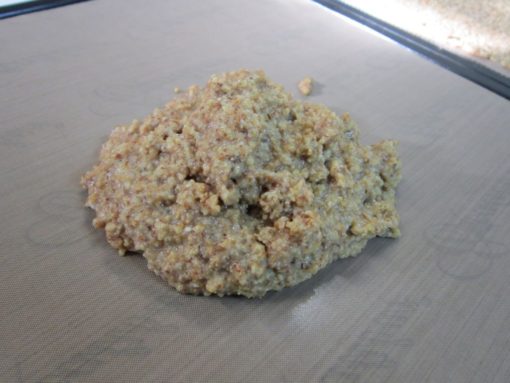 Place a portion of the batter in the center of a paraflexx sheet on a dehydrator tray